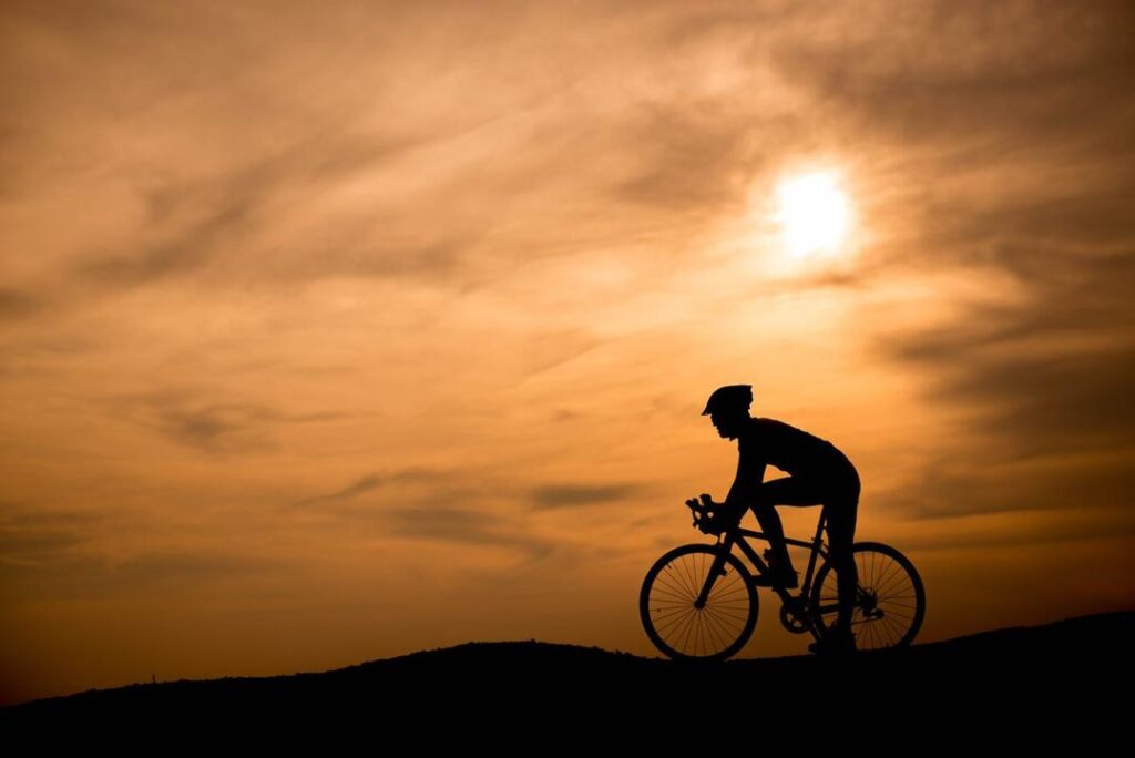 regeneracja kręgosłupa